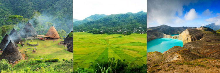 Open Trip waerebo
