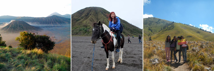 Bromo Everyday