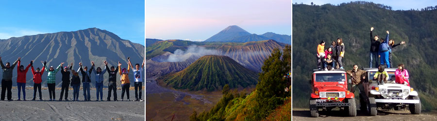 Bromo Everyday