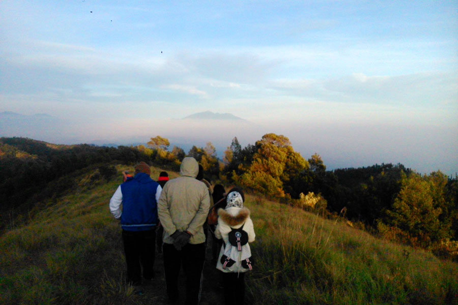 Bukit Cinta, Bromo