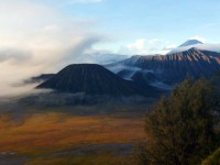 Bromo