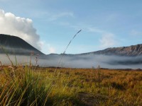 Bromo