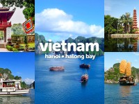 viet-4d3n-han-hab